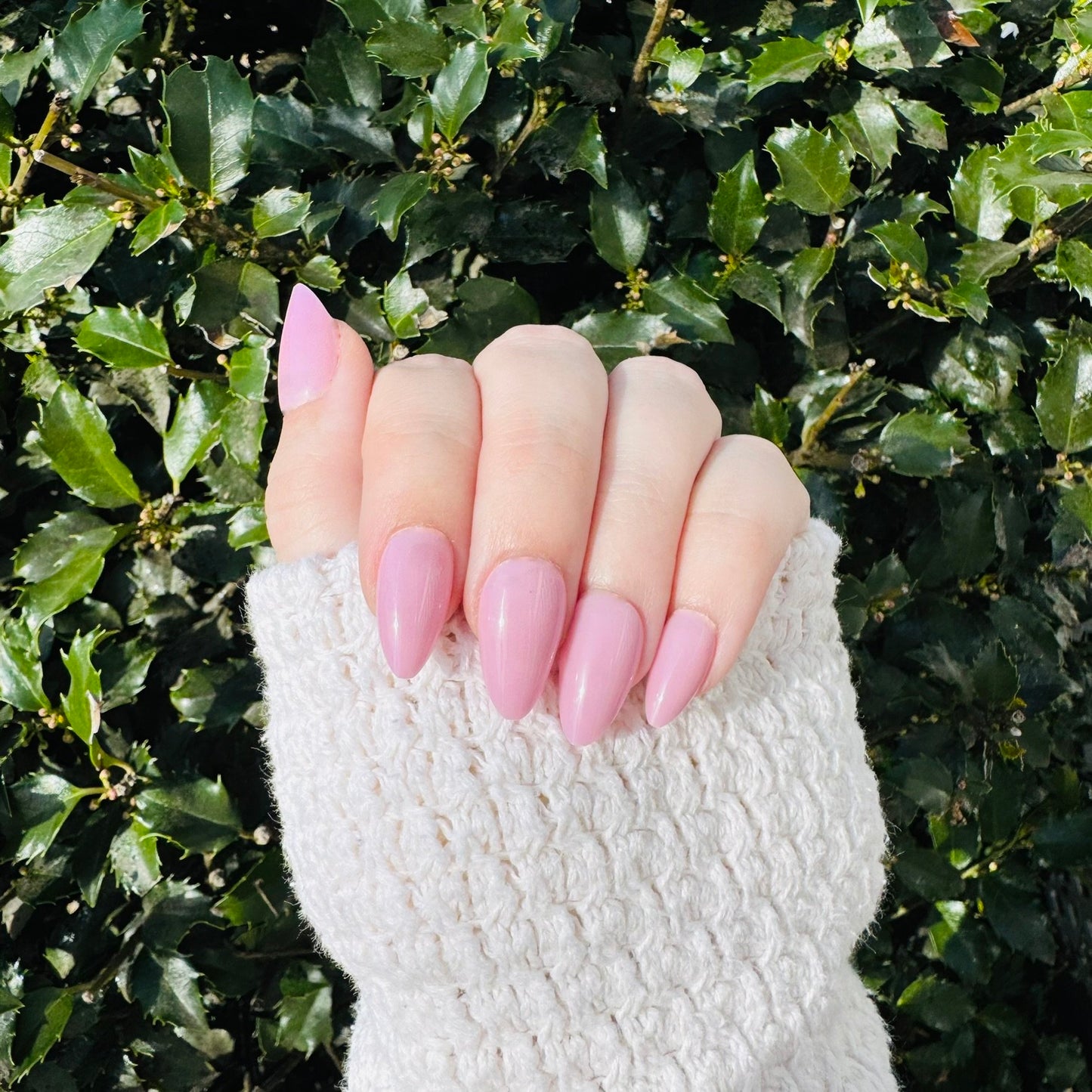 Blossom Pink