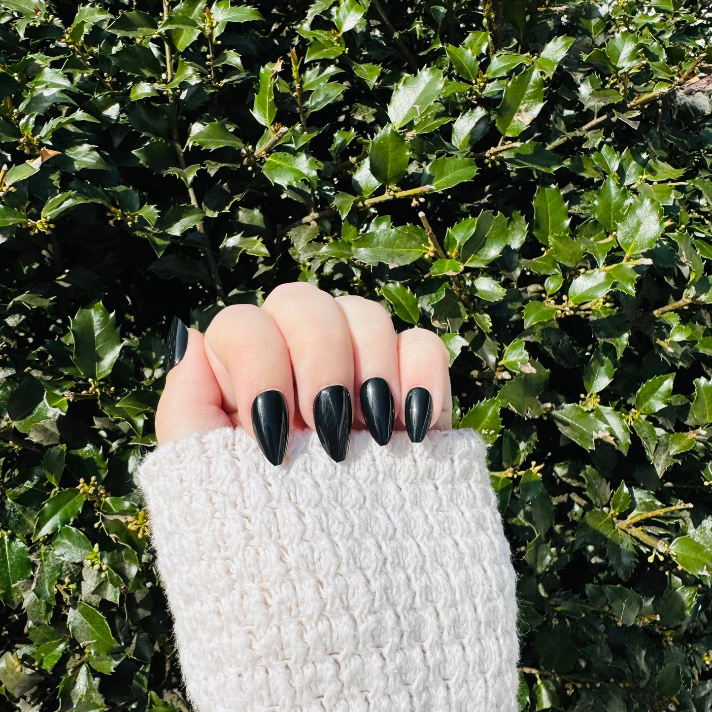 Midnight Elegance