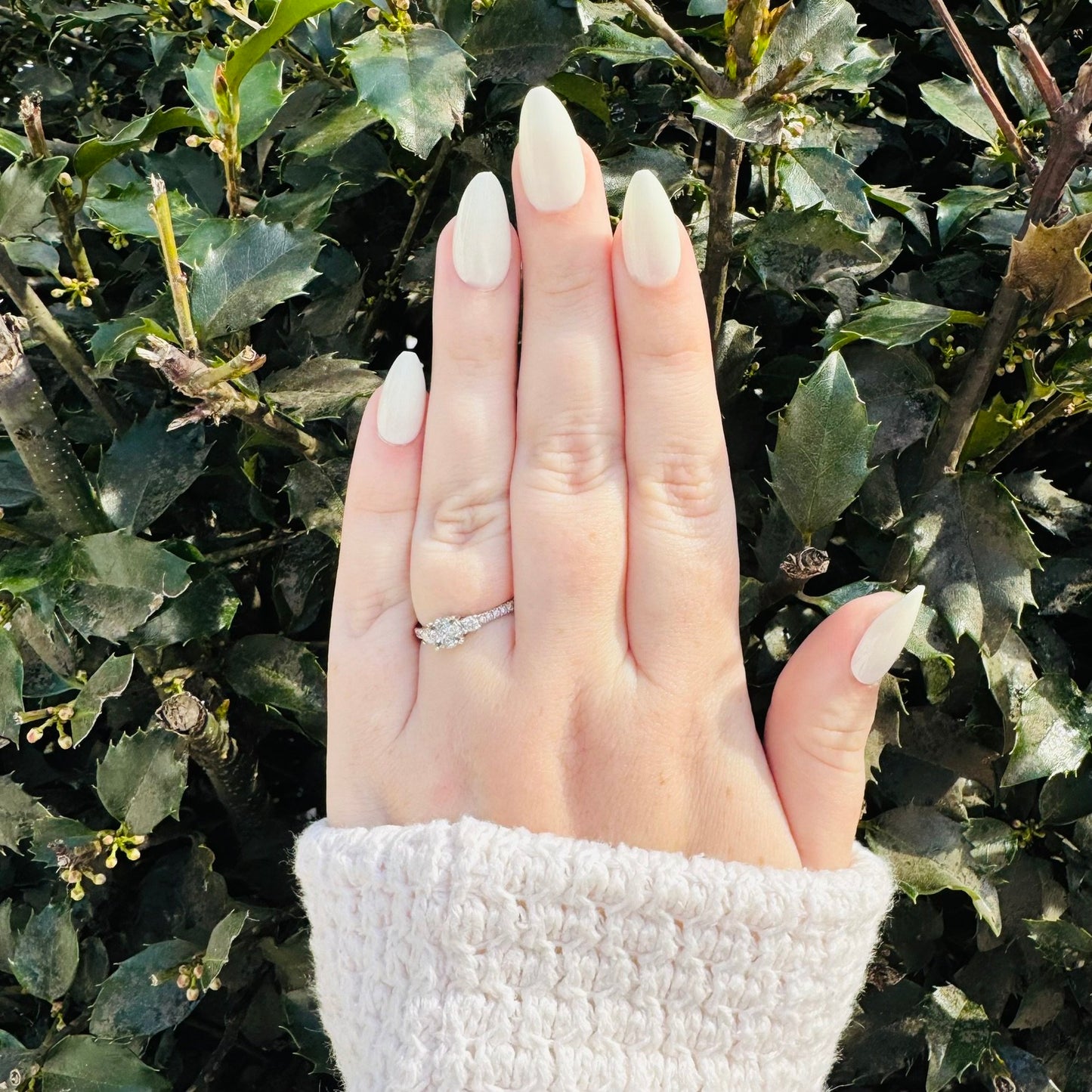 Ivory Classic