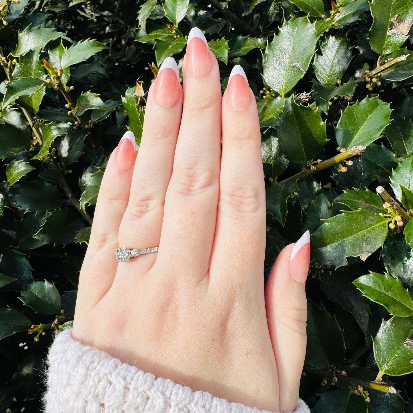 French Blush