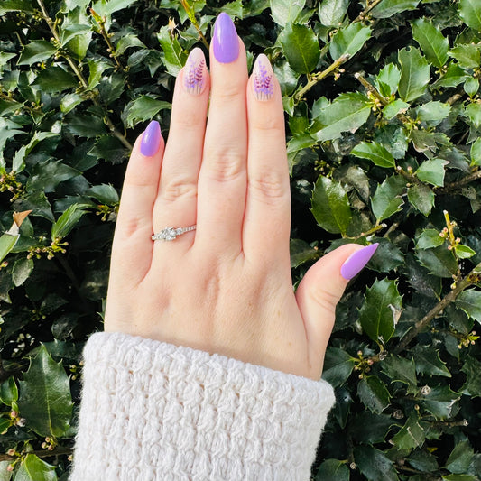 Lavender Bloom